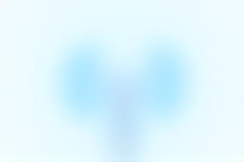 Icon for Seamless Voice Control